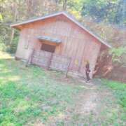 ヒメ日記 2025/05/06 10:03 投稿 かえで 千姫(道後)