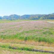 ヒメ日記 2025/05/18 13:19 投稿 かえで 千姫(道後)