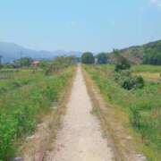 ヒメ日記 2025/05/26 00:16 投稿 かえで 千姫(道後)