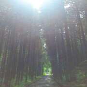 ヒメ日記 2025/06/02 15:44 投稿 かえで 千姫(道後)