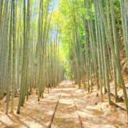 ヒメ日記 2025/06/20 22:39 投稿 かえで 千姫(道後)