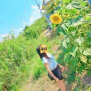 ヒメ日記 2025/08/02 14:29 投稿 かえで 千姫(道後)