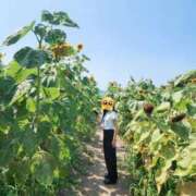 ヒメ日記 2025/08/23 13:56 投稿 かえで 千姫(道後)