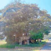 ヒメ日記 2025/09/08 19:37 投稿 かえで 千姫(道後)