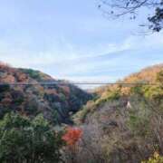 ヒメ日記 2025/12/01 11:52 投稿 かえで 千姫(道後)