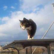 ヒメ日記 2026/01/10 21:03 投稿 かえで 千姫(道後)