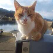 ヒメ日記 2026/01/12 01:02 投稿 かえで 千姫(道後)