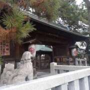 ヒメ日記 2026/01/17 22:26 投稿 かえで 千姫(道後)