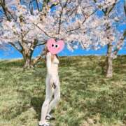 ヒメ日記 2026/04/15 21:35 投稿 かえで 千姫(道後)