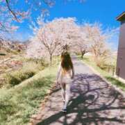 ヒメ日記 2026/04/17 11:45 投稿 かえで 千姫(道後)