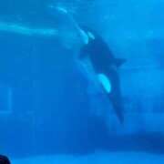 ヒメ日記 2025/09/05 23:07 投稿 じゅん 横浜回春性感マッサージ倶楽部