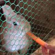 ヒメ日記 2025/07/30 15:08 投稿 ミサ OPELA（オペラ）