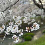 ヒメ日記 2026/04/02 17:18 投稿 ミサ OPELA（オペラ）