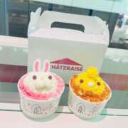 ヒメ日記 2025/03/09 20:05 投稿 れい ぷるるんギャング