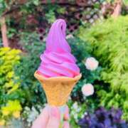 ヒメ日記 2025/11/22 19:35 投稿 れい ぷるるんギャング