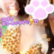 ヒメ日記 2026/01/09 11:08 投稿 牧乃 まりん 30代40代50代と遊ぶなら博多人妻専科24時