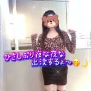 ヒメ日記 2026/01/24 11:47 投稿 牧乃 まりん 30代40代50代と遊ぶなら博多人妻専科24時