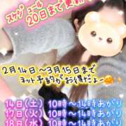 ヒメ日記 2026/02/12 06:37 投稿 牧乃 まりん 30代40代50代と遊ぶなら博多人妻専科24時