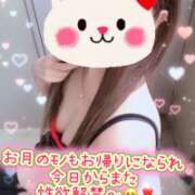 ヒメ日記 2026/02/14 06:35 投稿 牧乃 まりん 30代40代50代と遊ぶなら博多人妻専科24時