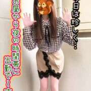 ヒメ日記 2026/09/17 07:20 投稿 牧乃 まりん 30代40代50代と遊ぶなら博多人妻専科24時