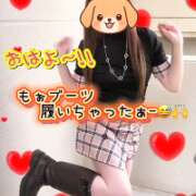 ヒメ日記 2026/09/24 06:31 投稿 牧乃 まりん 30代40代50代と遊ぶなら博多人妻専科24時
