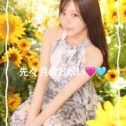 ヒメ日記 2025/07/15 11:46 投稿 ひなた 鹿鳴館