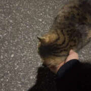 ヒメ日記 2025/10/21 21:57 投稿 こと 新橋Sweets（スウィーツ）