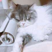 ヒメ日記 2025/03/27 22:28 投稿 こはく 西船人妻花壇