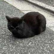 ヒメ日記 2025/05/09 16:58 投稿 こはく 西船人妻花壇