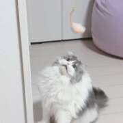 ヒメ日記 2025/08/16 22:23 投稿 こはく 西船人妻花壇