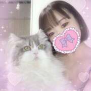 ヒメ日記 2025/09/22 05:18 投稿 こはく 西船人妻花壇