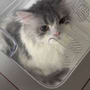 ヒメ日記 2025/11/27 20:03 投稿 こはく 西船人妻花壇