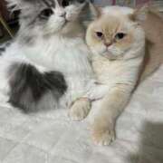 ヒメ日記 2026/01/10 05:23 投稿 こはく 西船人妻花壇