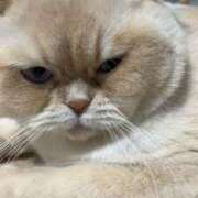 ヒメ日記 2026/03/31 07:12 投稿 こはく 西船人妻花壇