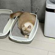 ヒメ日記 2026/04/23 20:30 投稿 こはく 西船人妻花壇