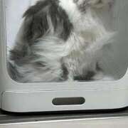 ヒメ日記 2026/04/28 20:31 投稿 こはく 西船人妻花壇