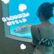 ヒメ日記 2025/10/14 20:27 投稿 野嵩 ひろか HANA-okinawa-