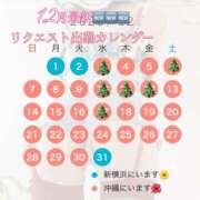 ヒメ日記 2025/11/18 10:33 投稿 野嵩 ひろか HANA-okinawa-