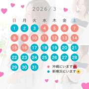 ヒメ日記 2026/02/20 14:03 投稿 野嵩 ひろか HANA-okinawa-