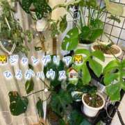 ヒメ日記 2026/03/10 19:33 投稿 野嵩 ひろか HANA-okinawa-