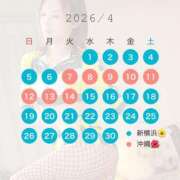 ヒメ日記 2026/03/15 11:33 投稿 野嵩 ひろか HANA-okinawa-