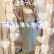 ヒメ日記 2026/05/17 11:48 投稿 野嵩 ひろか HANA-okinawa-