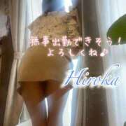 ヒメ日記 2026/07/12 14:48 投稿 野嵩 ひろか HANA-okinawa-