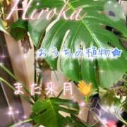 野嵩 ひろか 明日休み😭また来月ね👋💕 HANA-okinawa-