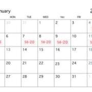 ヒメ日記 2025/01/02 21:13 投稿 湊あむ デリス新宿