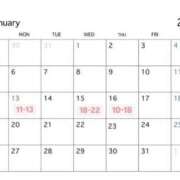 ヒメ日記 2025/01/08 12:25 投稿 湊あむ デリス新宿