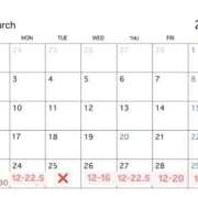 ヒメ日記 2025/03/19 12:30 投稿 湊あむ デリス新宿