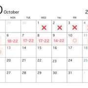 ヒメ日記 2025/10/01 18:14 投稿 湊あむ デリス新宿