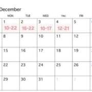 ヒメ日記 2025/11/30 12:28 投稿 湊あむ デリス新宿