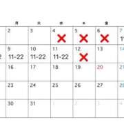 湊あむ 出勤予定です🐰‎🤍 デリス新宿